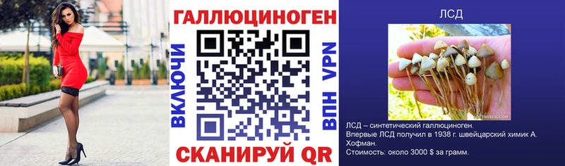 Галлюциногенные грибы GOLDEN TEACHER  Зеленоградск 